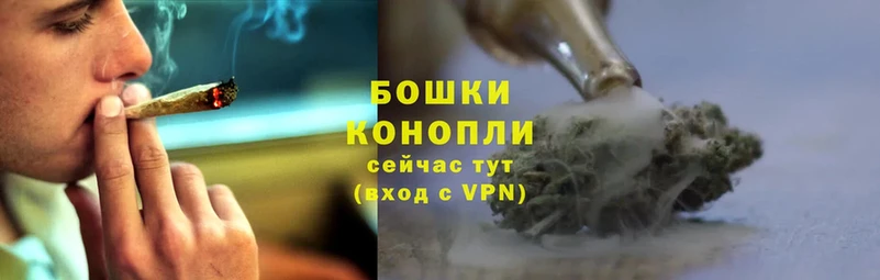 Бошки Шишки Ganja  Крымск 